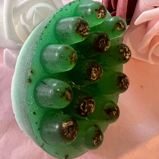 Aloe Vera, Hibiscus & Mint Soap $14.00 (2 soap bars)
